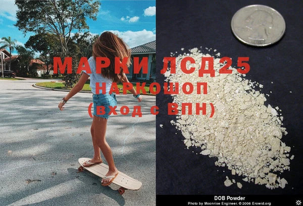 сатива Аркадак