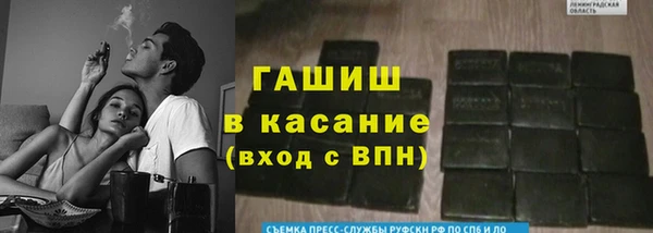 сатива Аркадак
