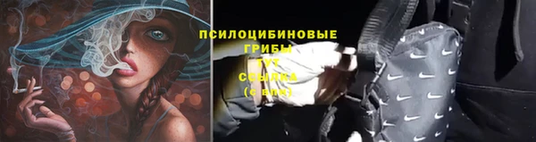 сатива Аркадак