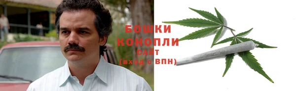 сатива Аркадак