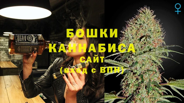 сатива Аркадак
