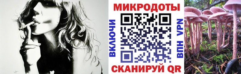 Галлюциногенные грибы Psilocybe Татарск